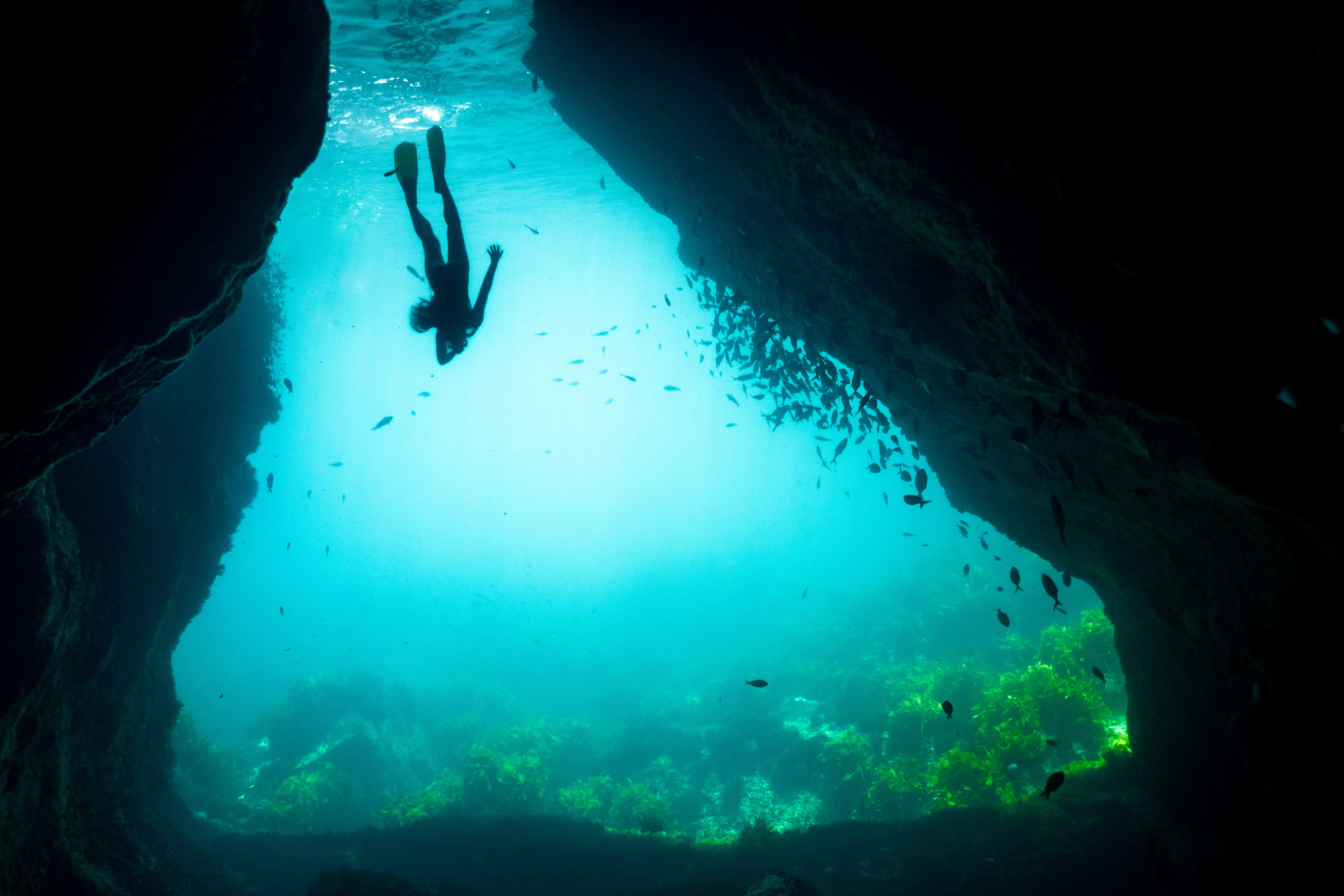 Bianca free diving to explore a hidden cave in the Poor Knights Marine Reserve - an underwater adventure